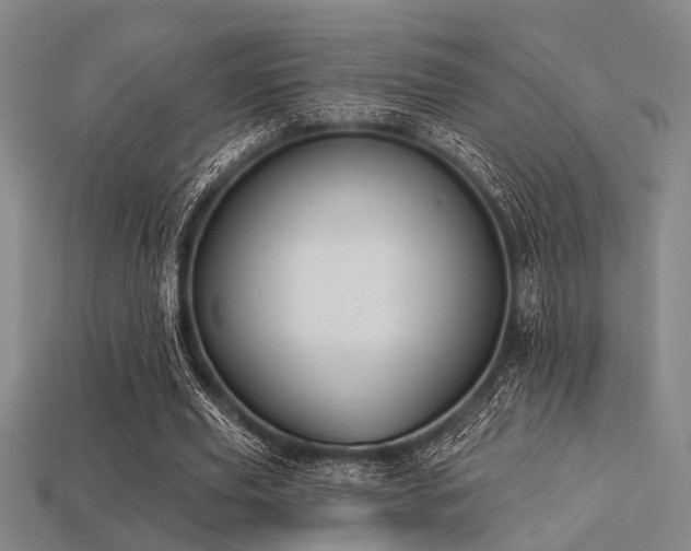 X0000113280629200909141226