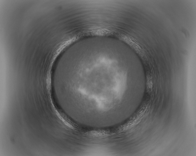 X0000113280630200909141226