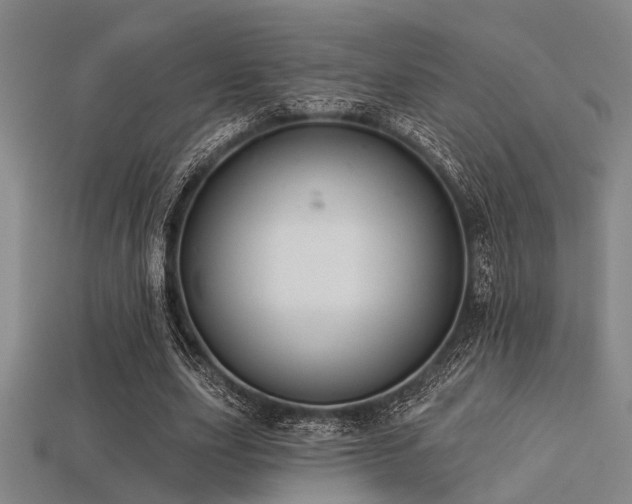 X0000113280631200909141226