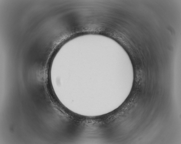 X0000113280632200909141226