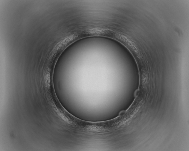 X0000113280633200909141226