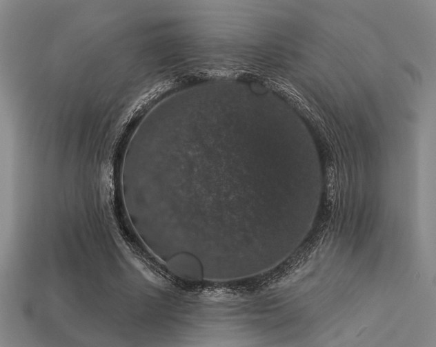 X0000113280634200909141226