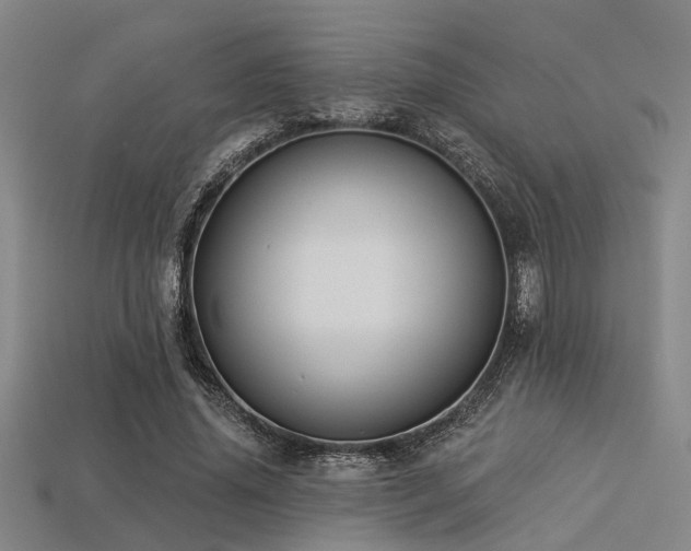 X0000113280636200909141226