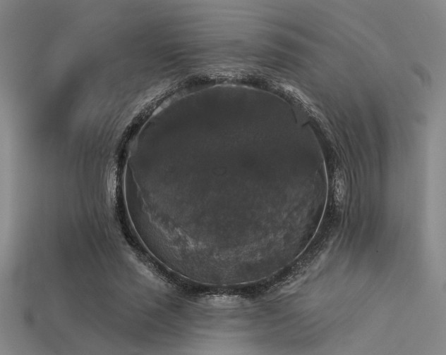 X0000113280637200909141226