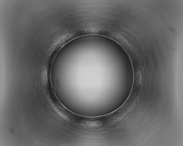 X0000113280638200909141226