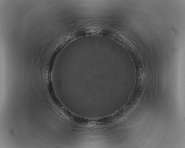 X0000113280641200909141226