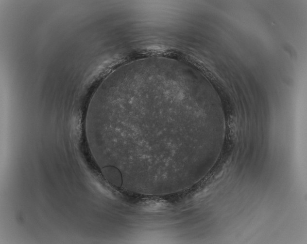 X0000113280642200909141226