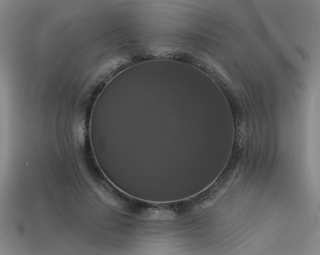 X0000113280644200909141226