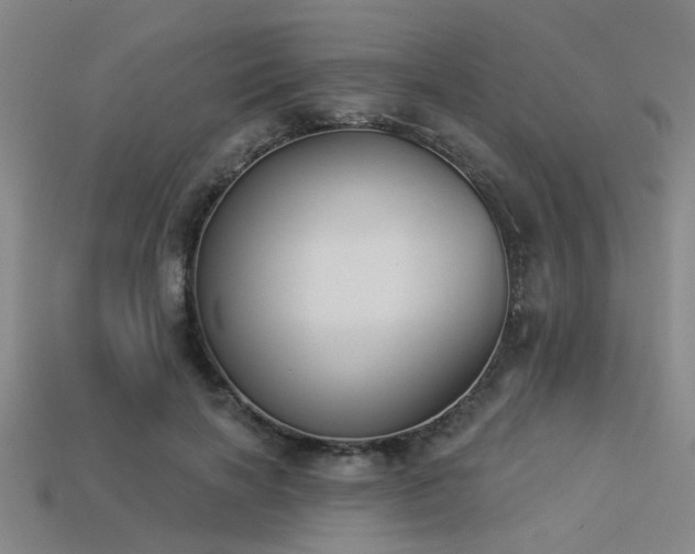 X0000113280646200909141226