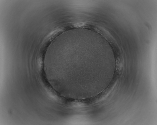 X0000113280648200909141226