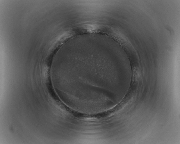 X0000113280650200909141226