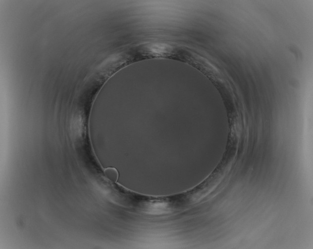 X0000113280651200909141226