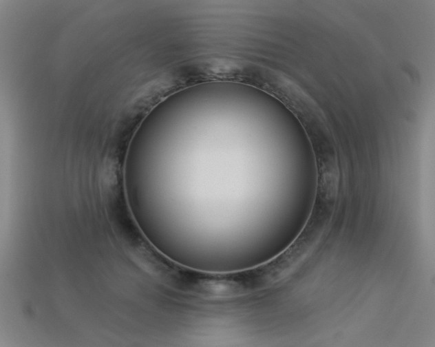 X0000113280654200909141226