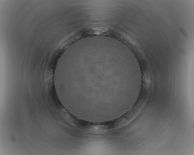 X0000113280657200909141226