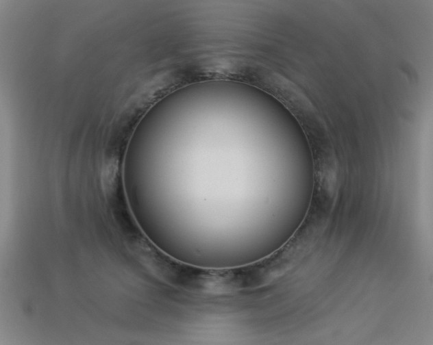 X0000113280660200909141226