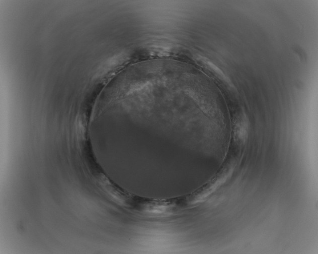 X0000113280661200909141226