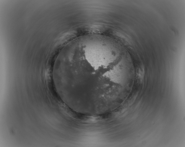 X0000113280663200909141226