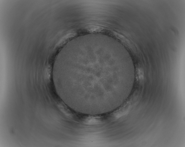 X0000113280664200909141226