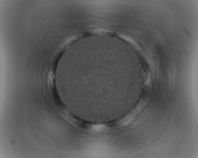 X0000113280669200909141226