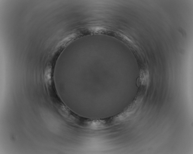 X0000113280670200909141226