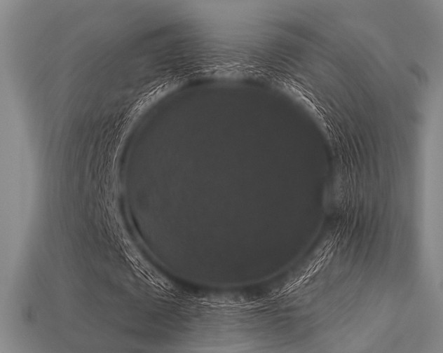 X0000113280673200909141226