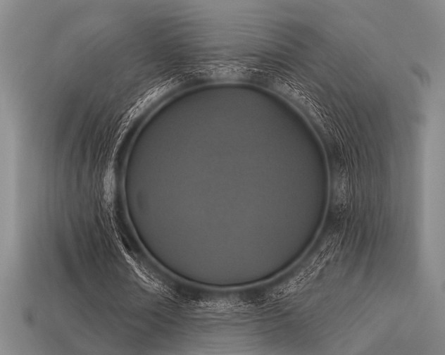 X0000113280674200909141226