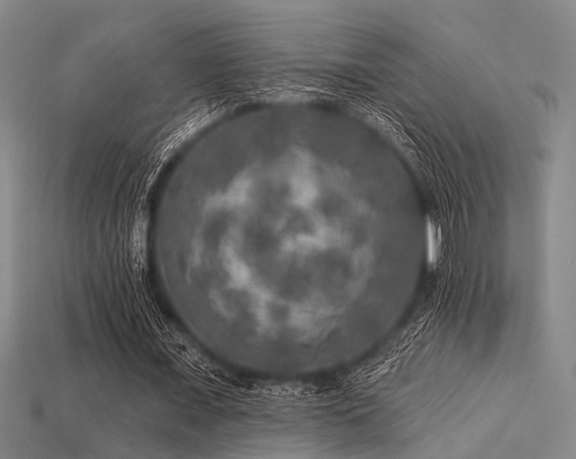 X0000113280675200909141226