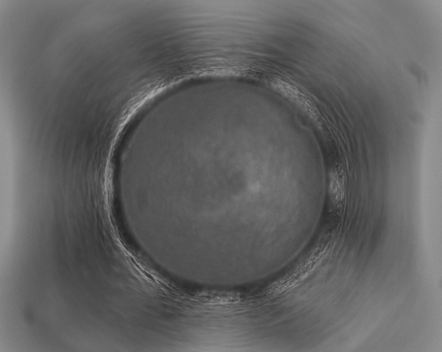 X0000113280676200909141225