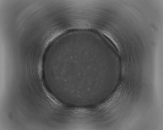 X0000113280677200909141225