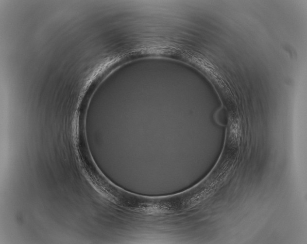 X0000113280678200909141225