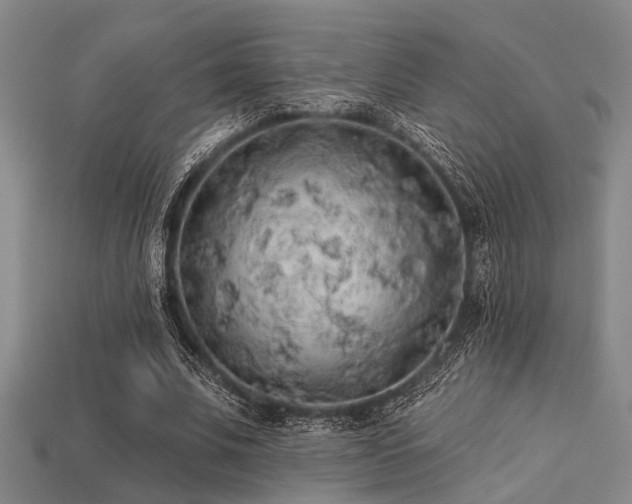 X0000113280679200909141225