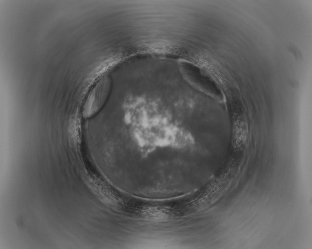 X0000113280680200909141225