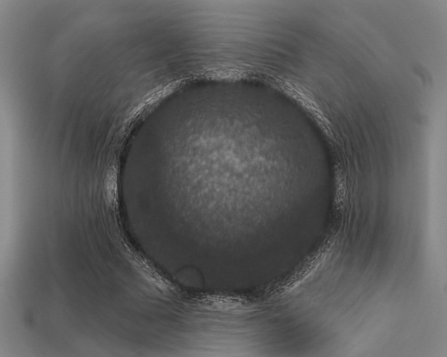 X0000113280681200909141225