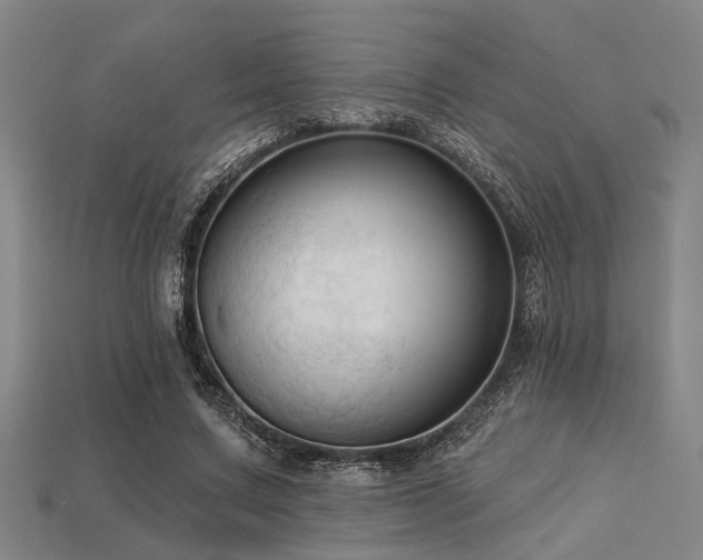 X0000113280683200909141225