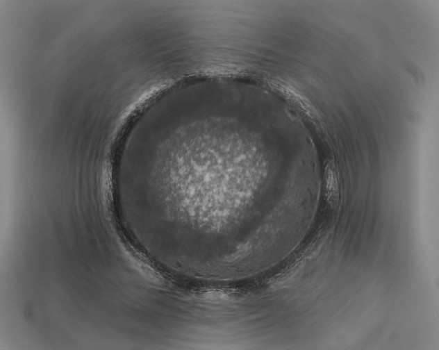 X0000113280684200909141225