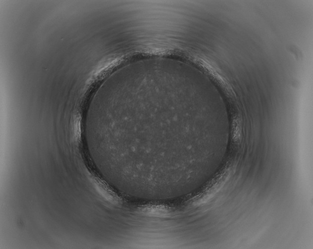 X0000113280685200909141225