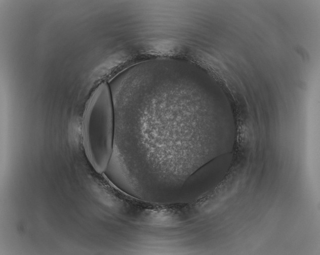 X0000113280688200909141225