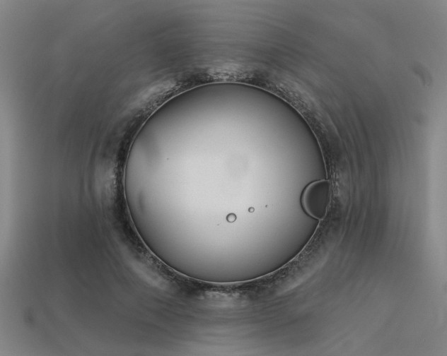 X0000113280690200909141225