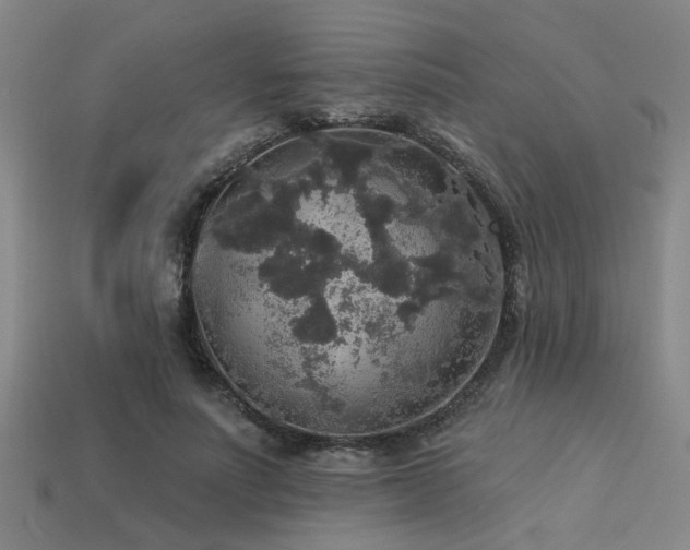 X0000113280691200909141225