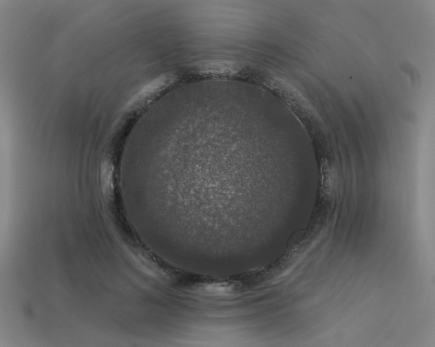 X0000113280692200909141225