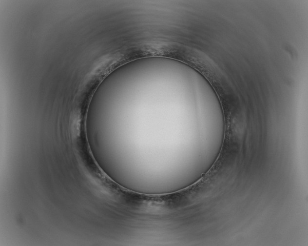 X0000113280694200909141225