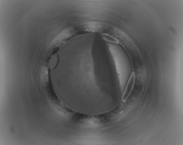 X0000113280696200909141225