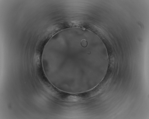 X0000113280699200909141225