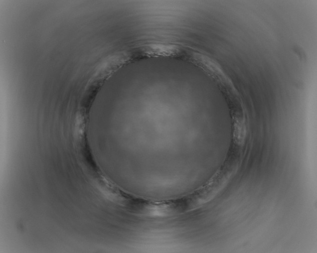 X0000113280701200909141225