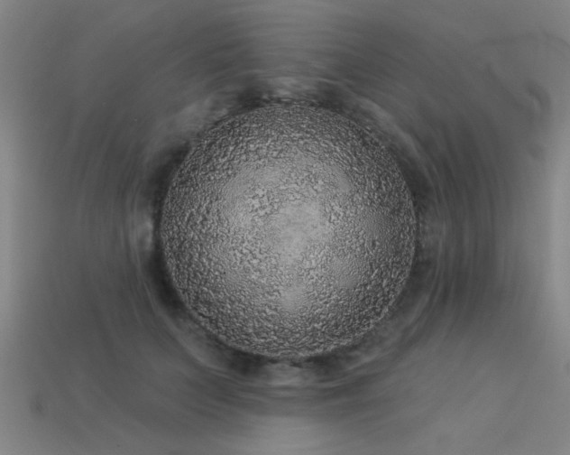 X0000113280703200909141225