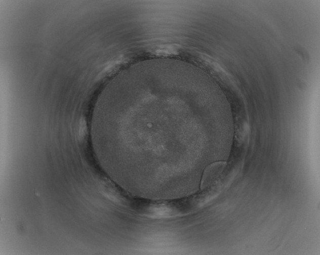 X0000113280704200909141225