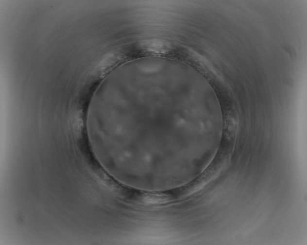 X0000113280707200909141225