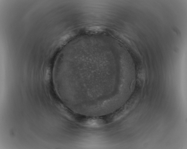 X0000113280708200909141225