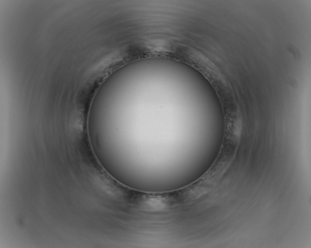 X0000113280710200909141225