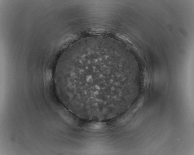 X0000113280711200909141225